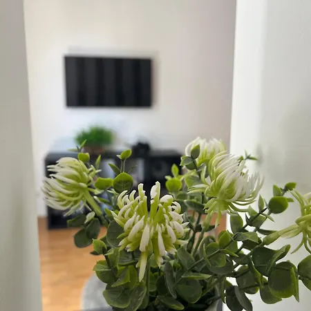 Peter's Cosy * Budapešť